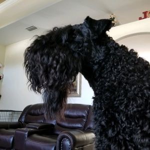 Meet your Posher, Olga